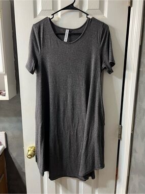 Women’s Medium Grey Swing Dress with Pockets